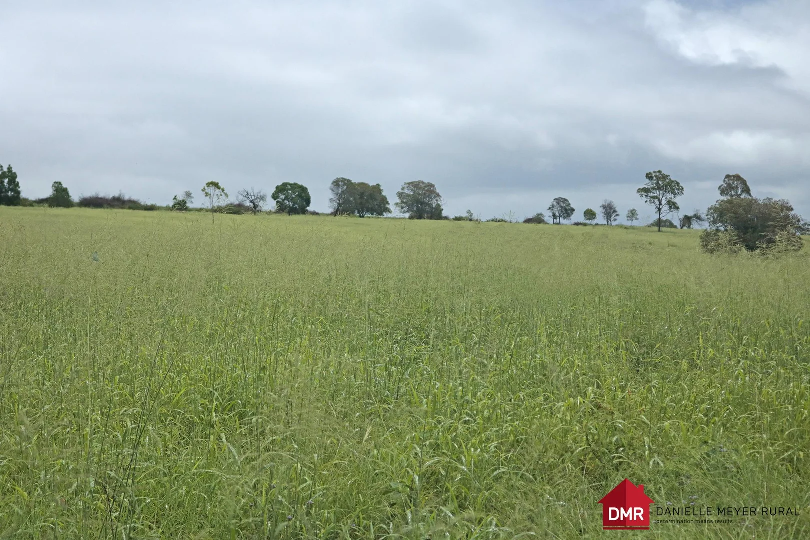 Additional image 20 of 271 McLaughlans Road, Monto QLD 4630