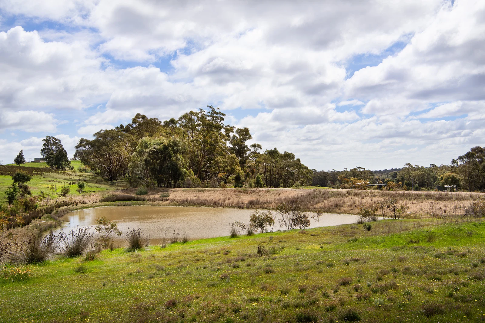Additional image 10 of 3 Mandurang South Road, Mandurang South VIC 3551