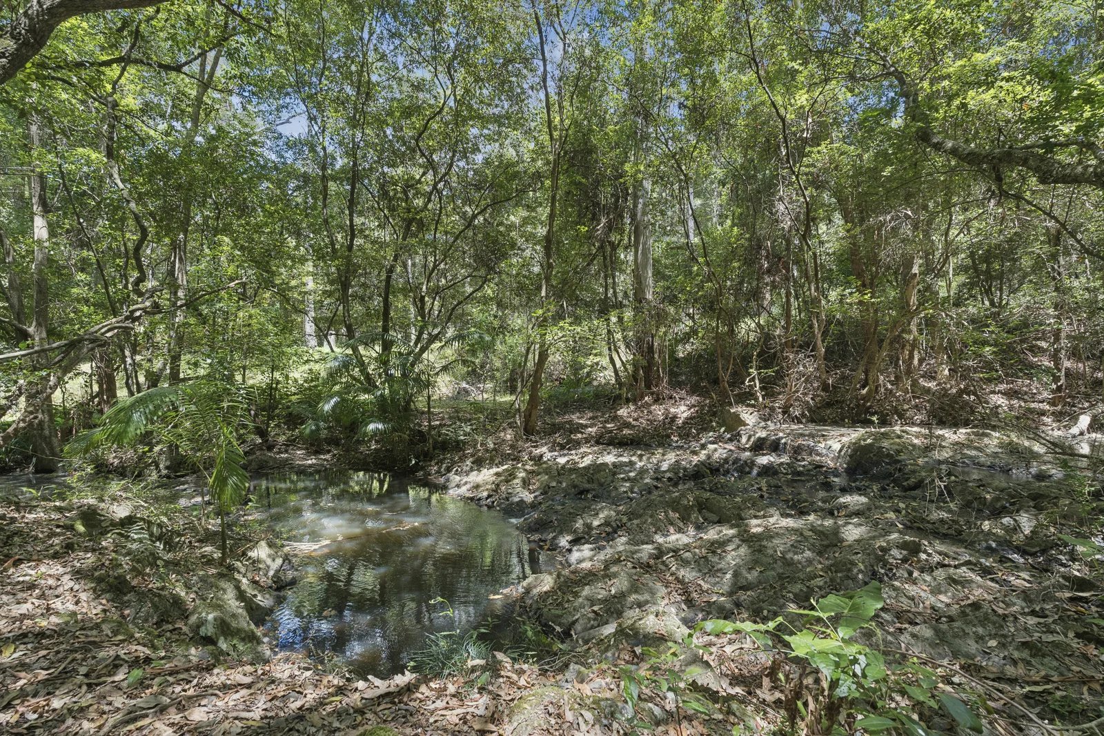 Additional image 16 of 200 Mount Browne Road, Upper Orara NSW 2450