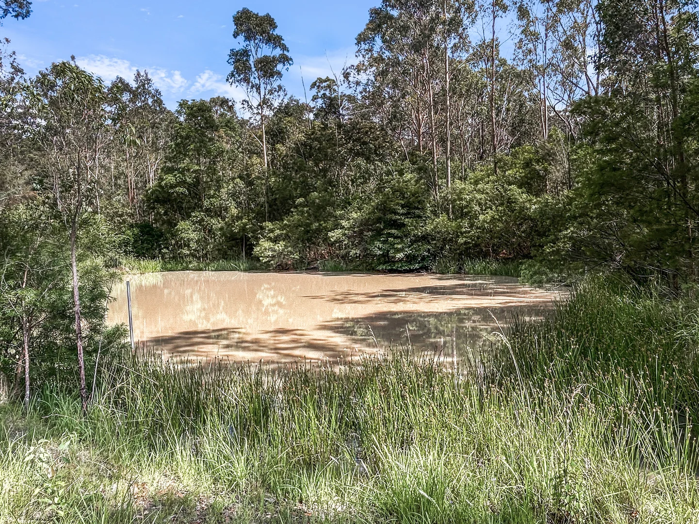 Additional image 40 of 301 Mud Flat Road, Drake NSW 2469