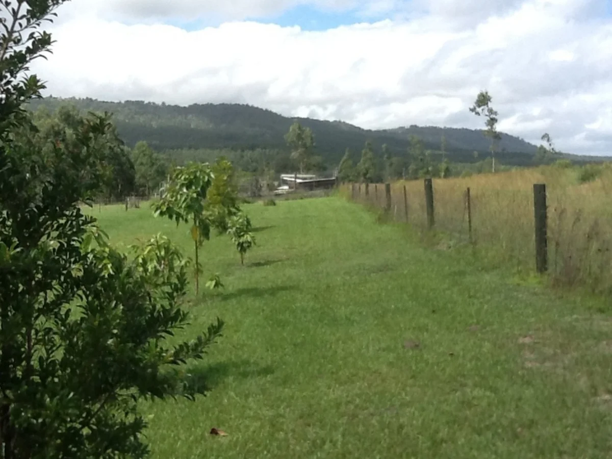 Additional image 32 of 37 Dyraaba Street, Bonalbo NSW 2469