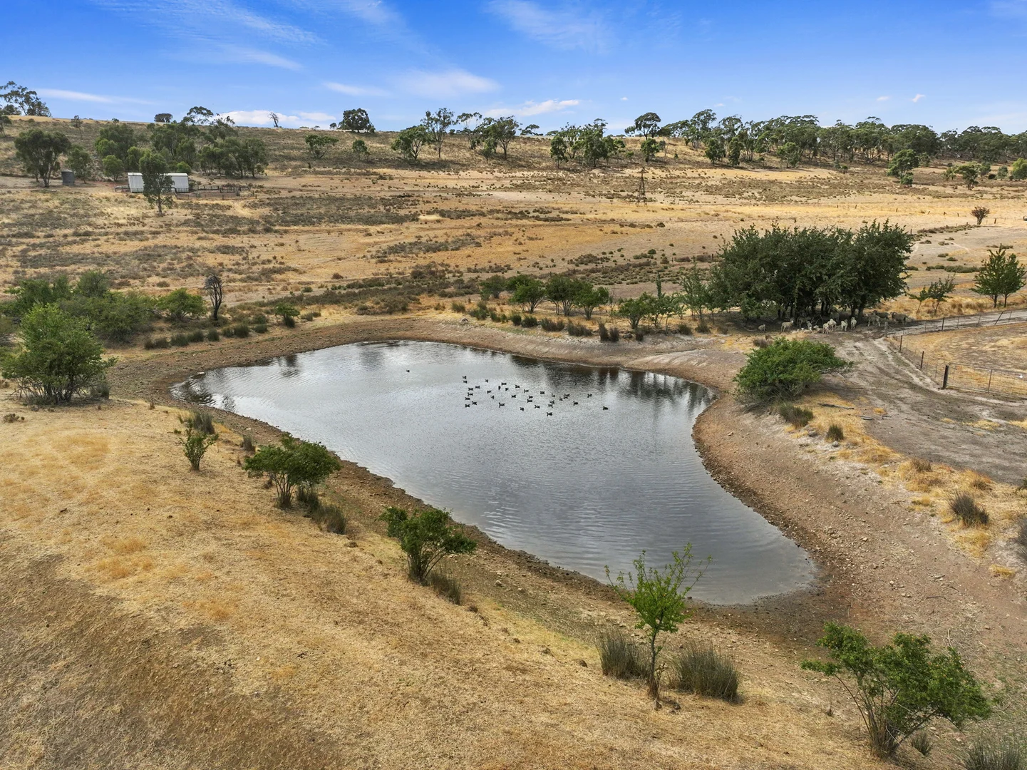 Additional image 5 of 229 Neagles Rock Road, Clare SA 5453