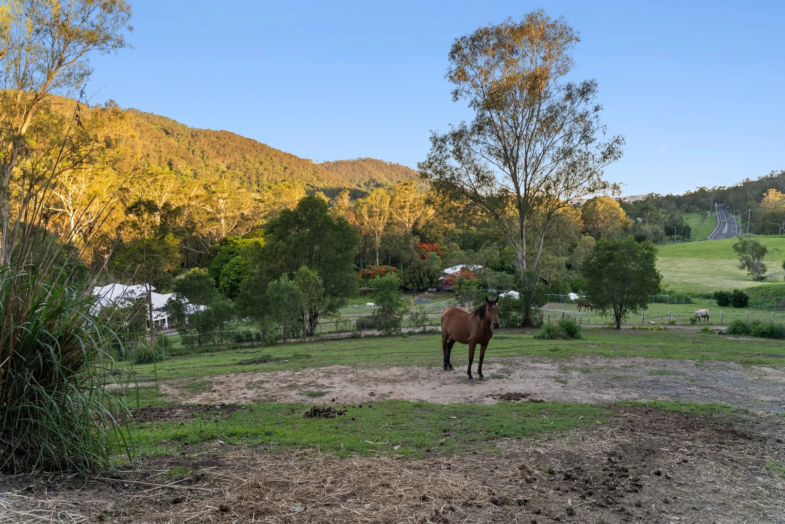 Additional image 5 of 4 Coonardoo Court, Wongawallan QLD 4210