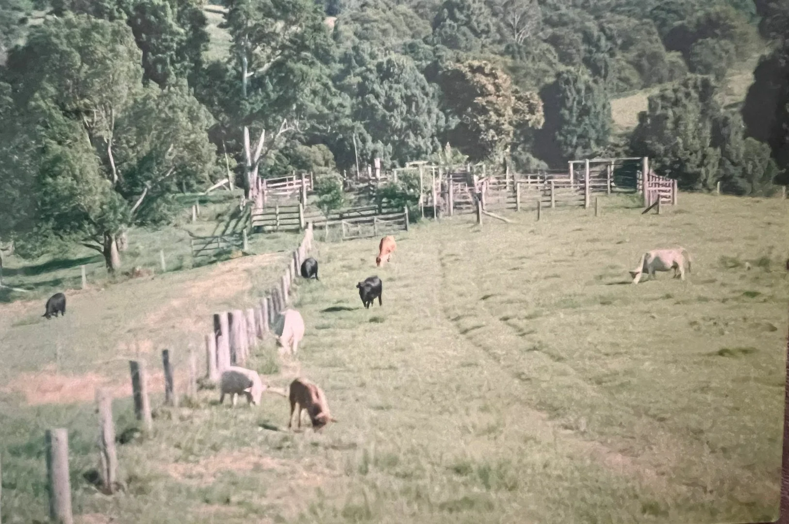 Additional image 16 of 45 Moores Lane, Eungai Creek NSW 2441
