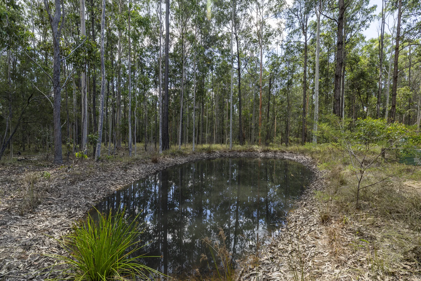 Additional image 20 of 95 Sunnyside Road, Pillar Valley NSW 2462