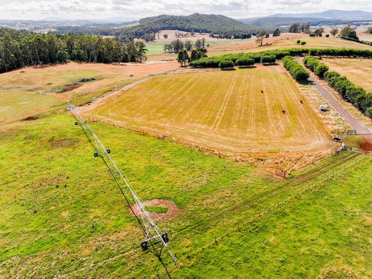 Additional image 26 of 110 Trickett Road, Needles TAS 7304