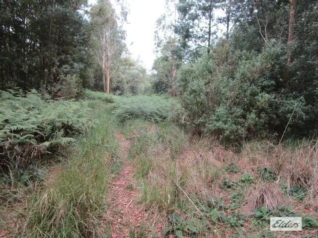 Additional image 6 of Lot 3 Jordans Road, North Motton TAS 7315