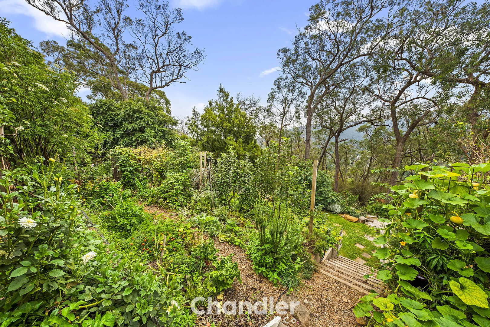 Additional image 20 of 9 Highcliff Road, Upwey VIC 3158