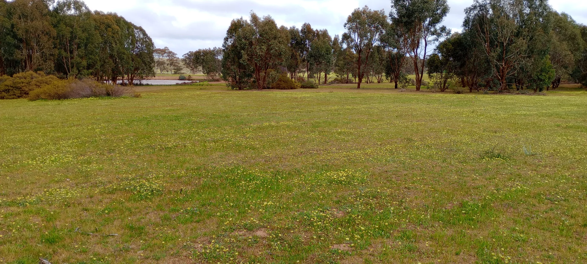 Additional image 7 of Wedderburn VIC 3518