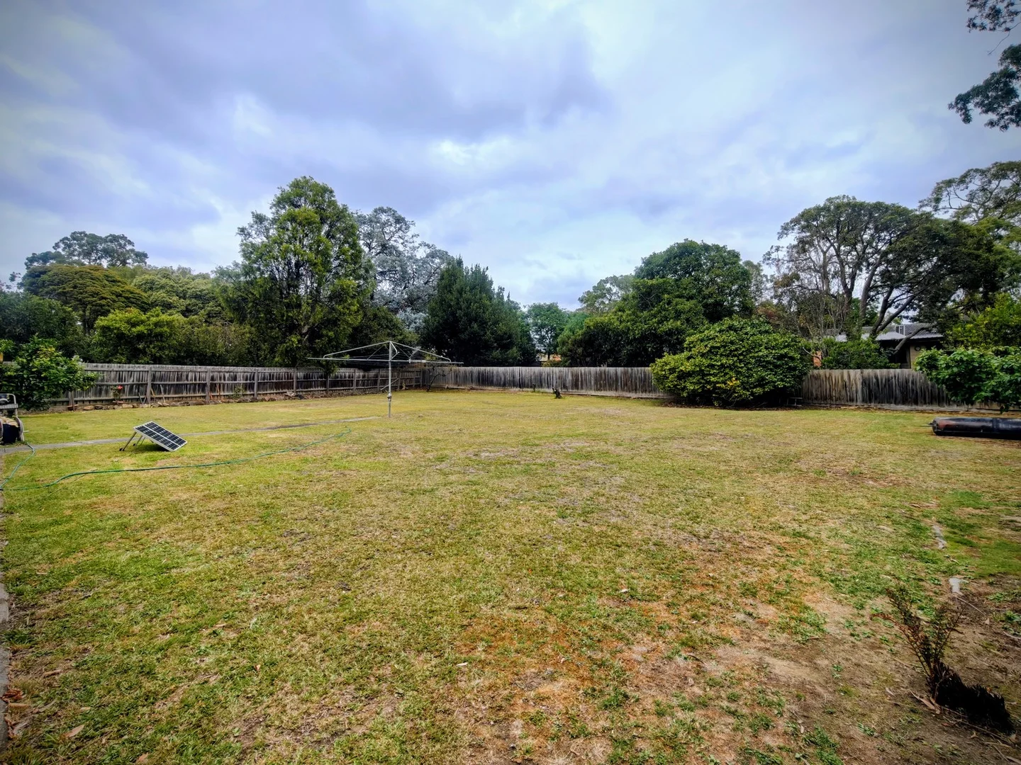 Boronia VIC 3155 photo 3