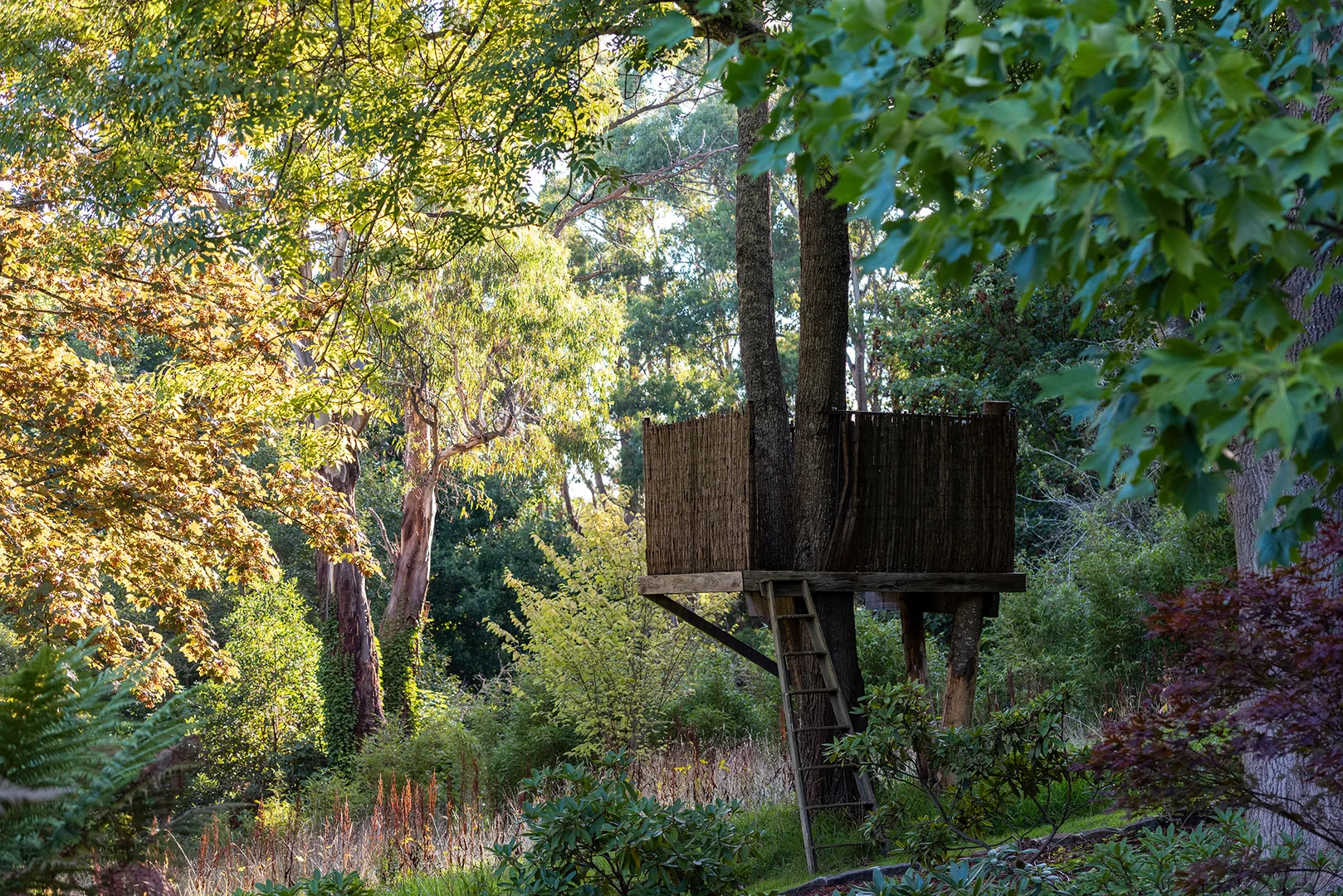 Additional image 26 of 85 Douglas Road, Mount Macedon VIC 3441