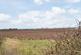 Additional image 36 of 13 Mains Of Mawcarse, Kinross, KY13 9SF