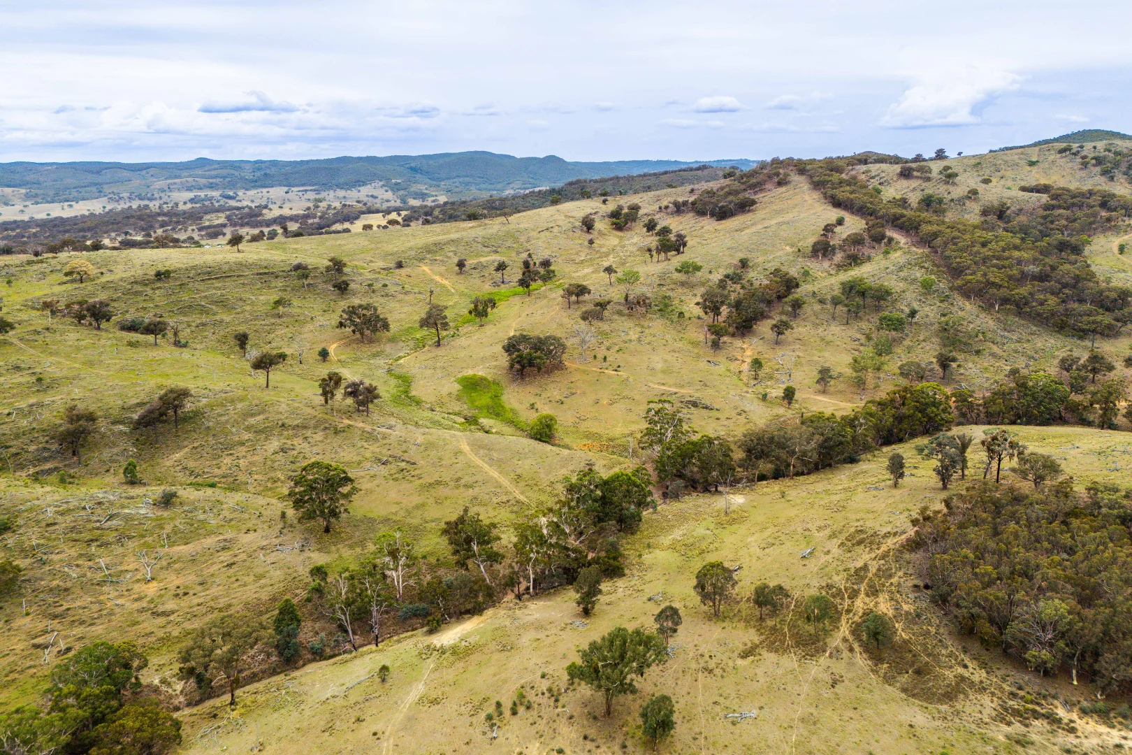 Additional image 43 of 678 Dry Creek Road, Lewis Ponds NSW 2800