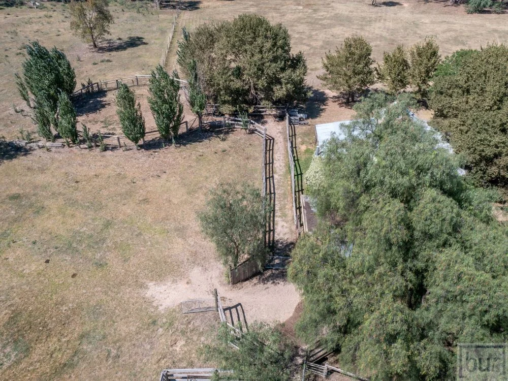 Additional image 34 of 142 Whittaker Lane, Howlong NSW 2643