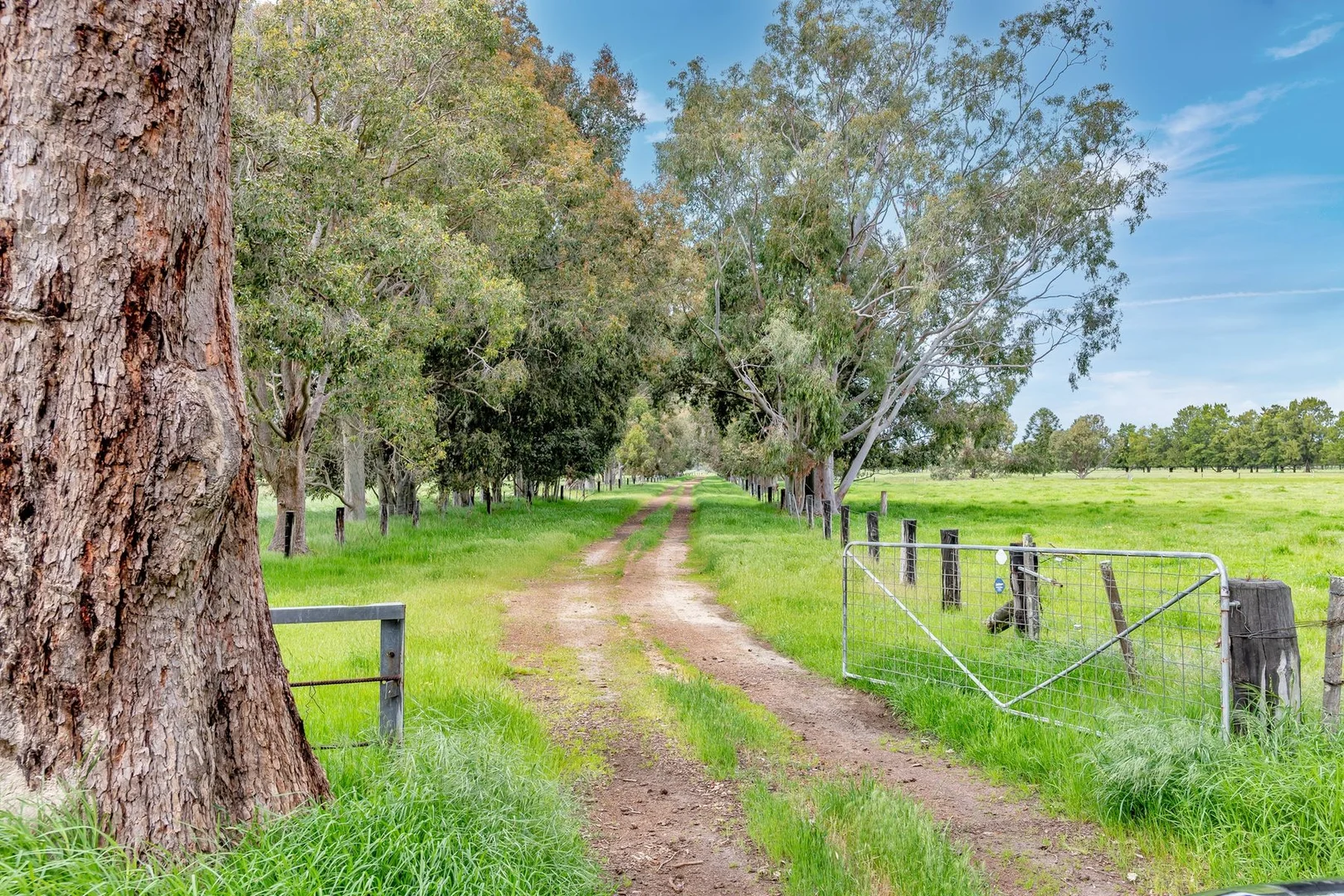 Additional image 8 of 434 Fishermans Road, West Coolup WA 6214