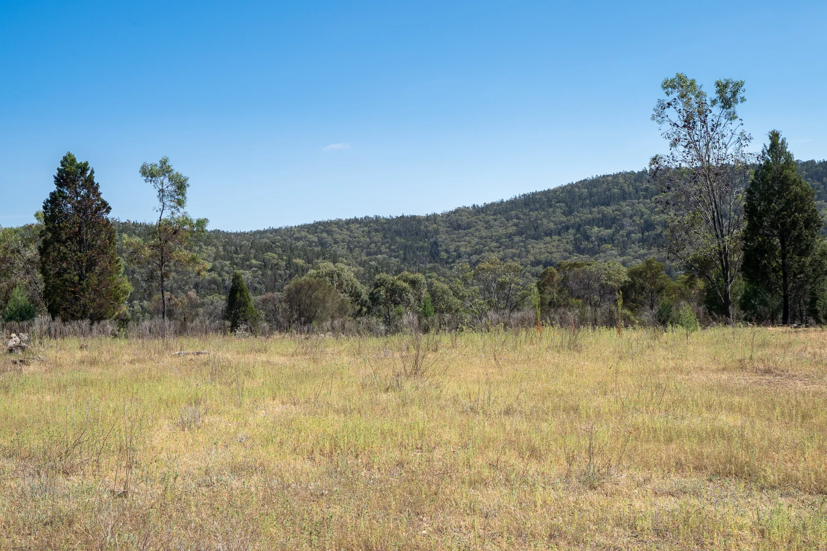 Additional image 9 of 35 Rosamel Lane, Manildra NSW 2865