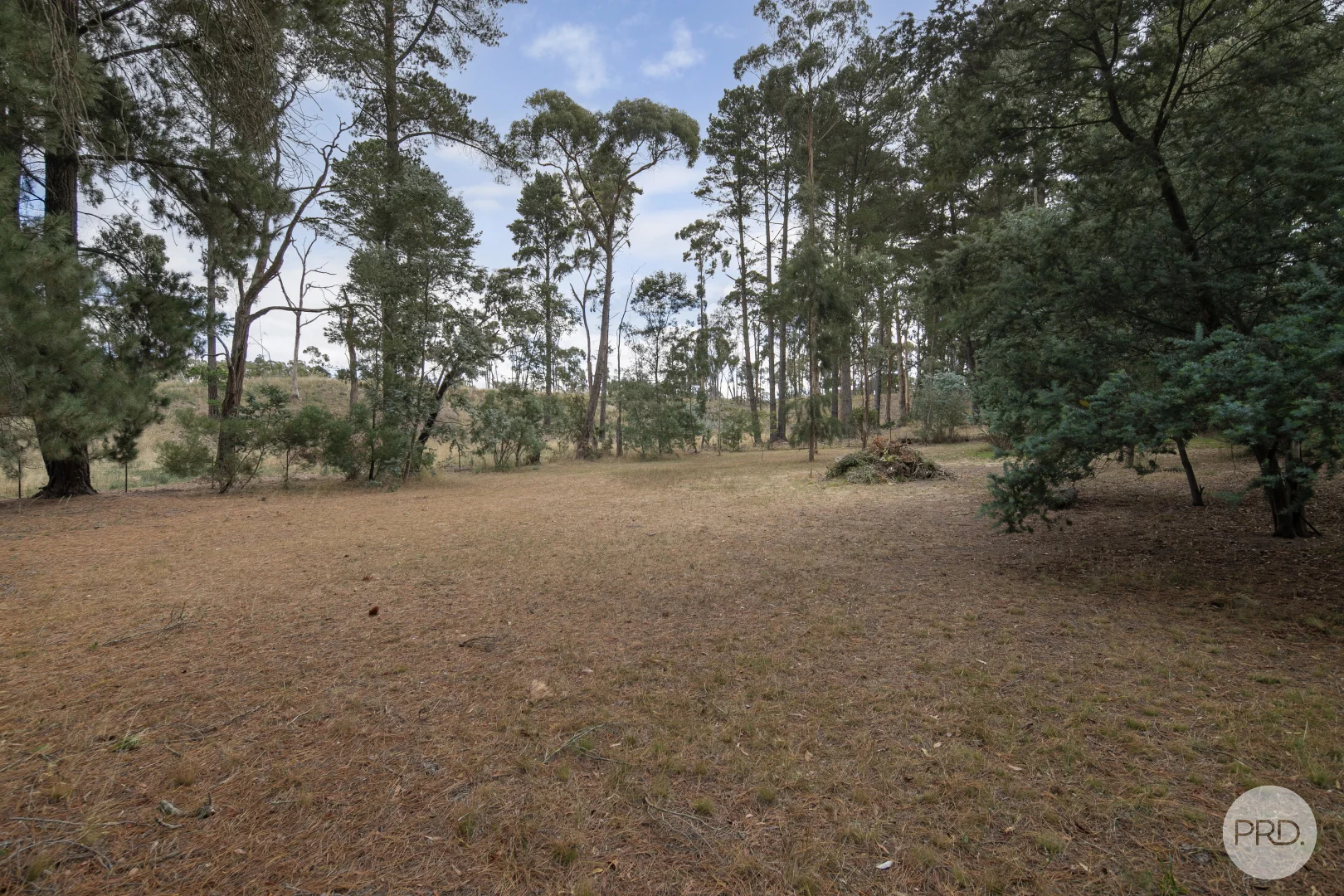 Additional image 14 of 26 Cumberland Street, Linton VIC 3360