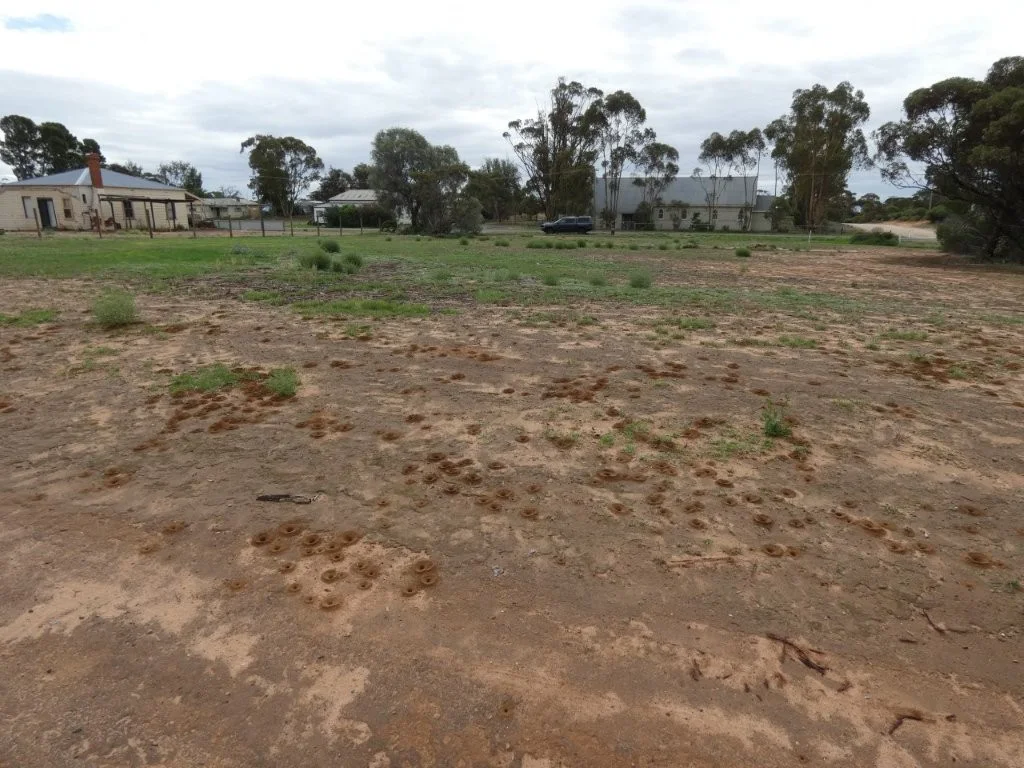 Additional image 7 of 5-7 Mahrong St, Lascelles VIC 3487