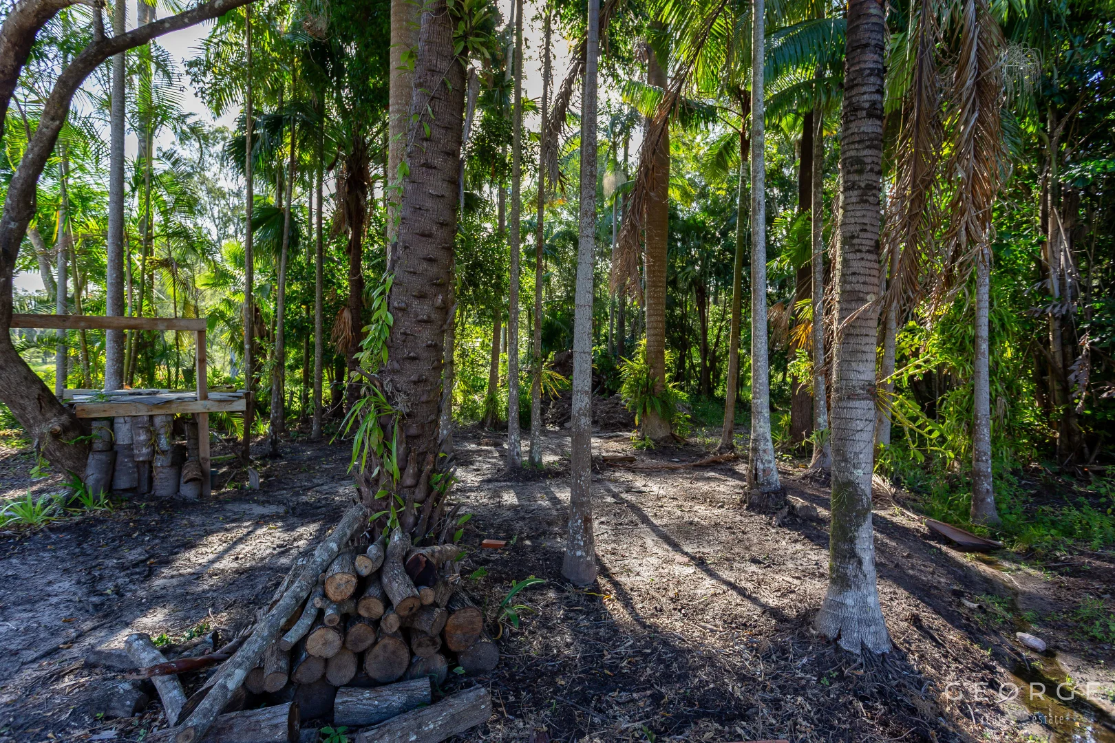Additional image 11 of 3 Toomey Street, Traveston QLD 4570