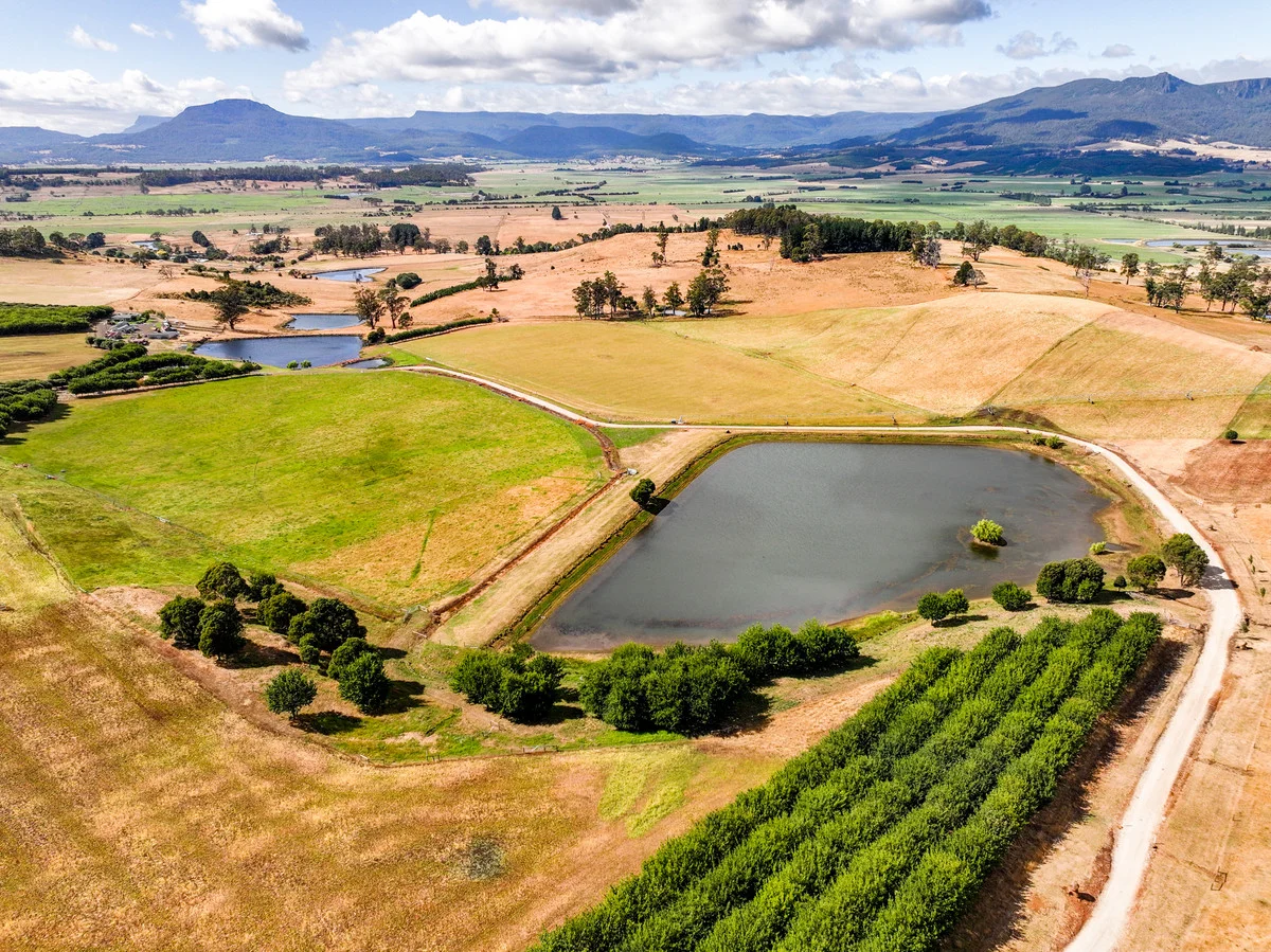 110 Trickett Road, Needles TAS 7304