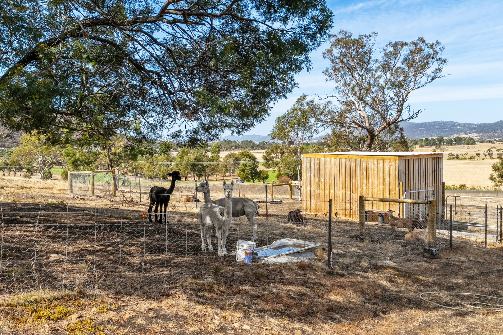 Additional image 27 of 180 Middle Tea Tree Road, Richmond TAS 7025