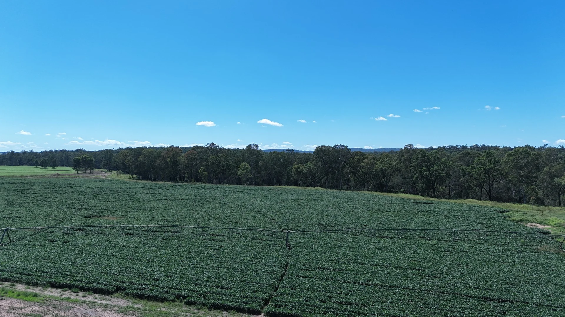 24962 Burnett Highway, Ceratodus QLD 4627