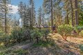 Additional image 55 of 2637 Ruth Ln, Arnold, CA, 95223