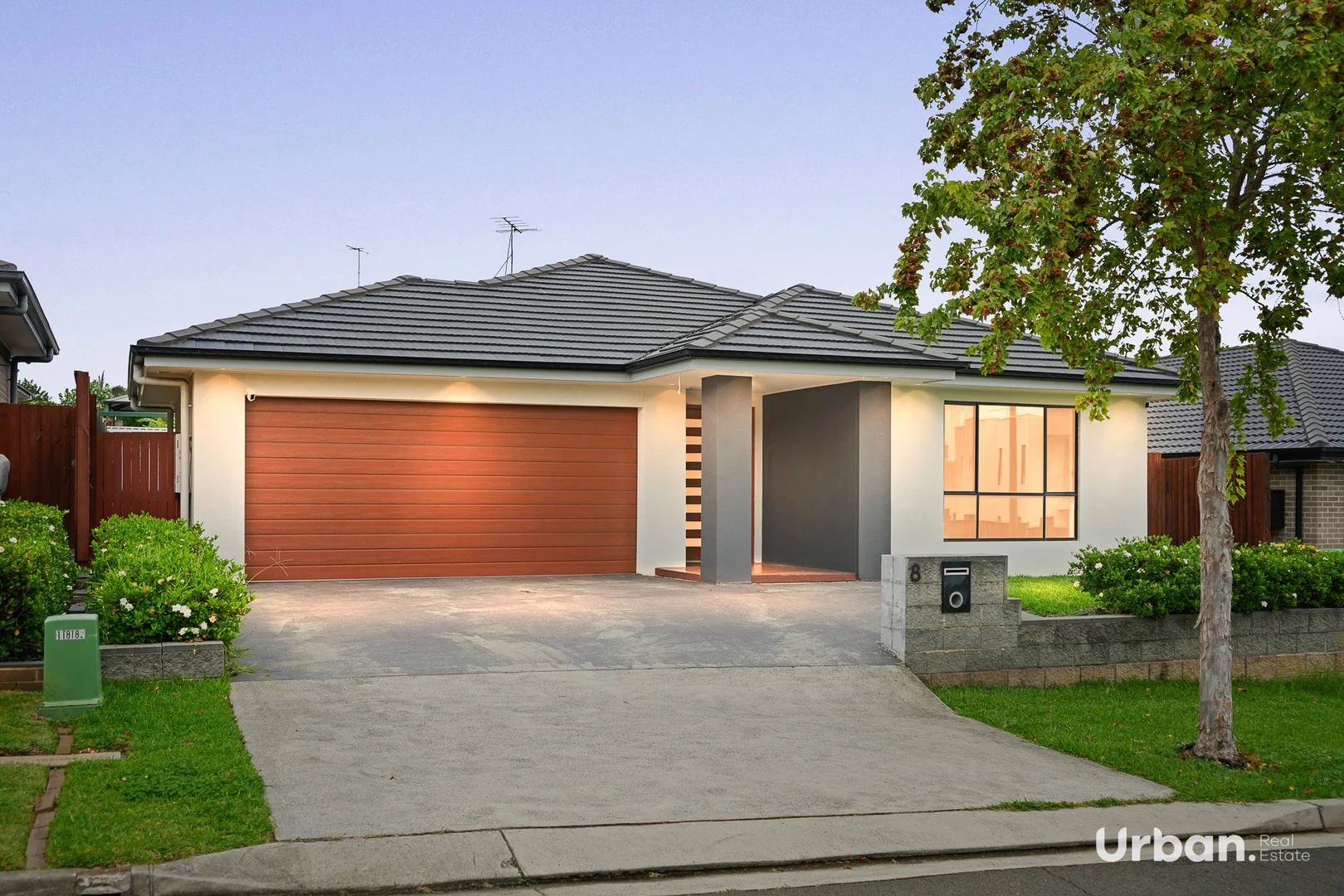 8 Torbreck Street, Minto NSW 2566