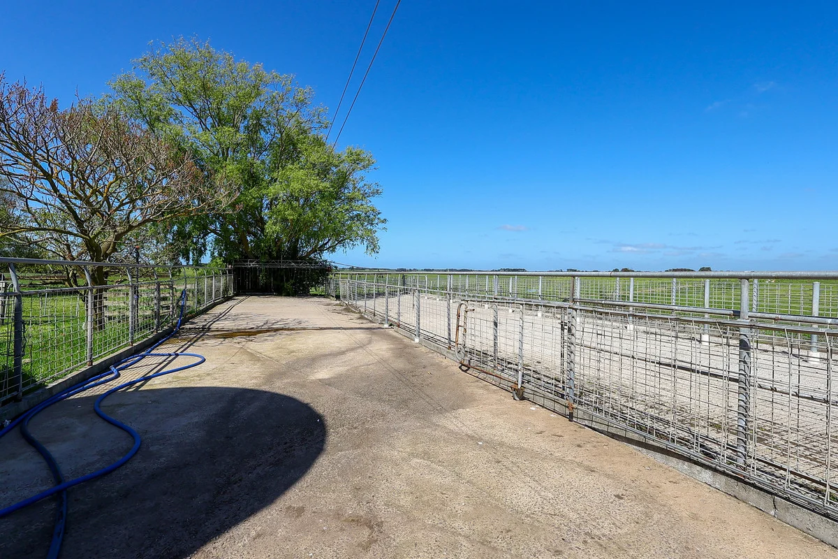 Additional image 20 of 170 Allans Road, Framlingham VIC 3265