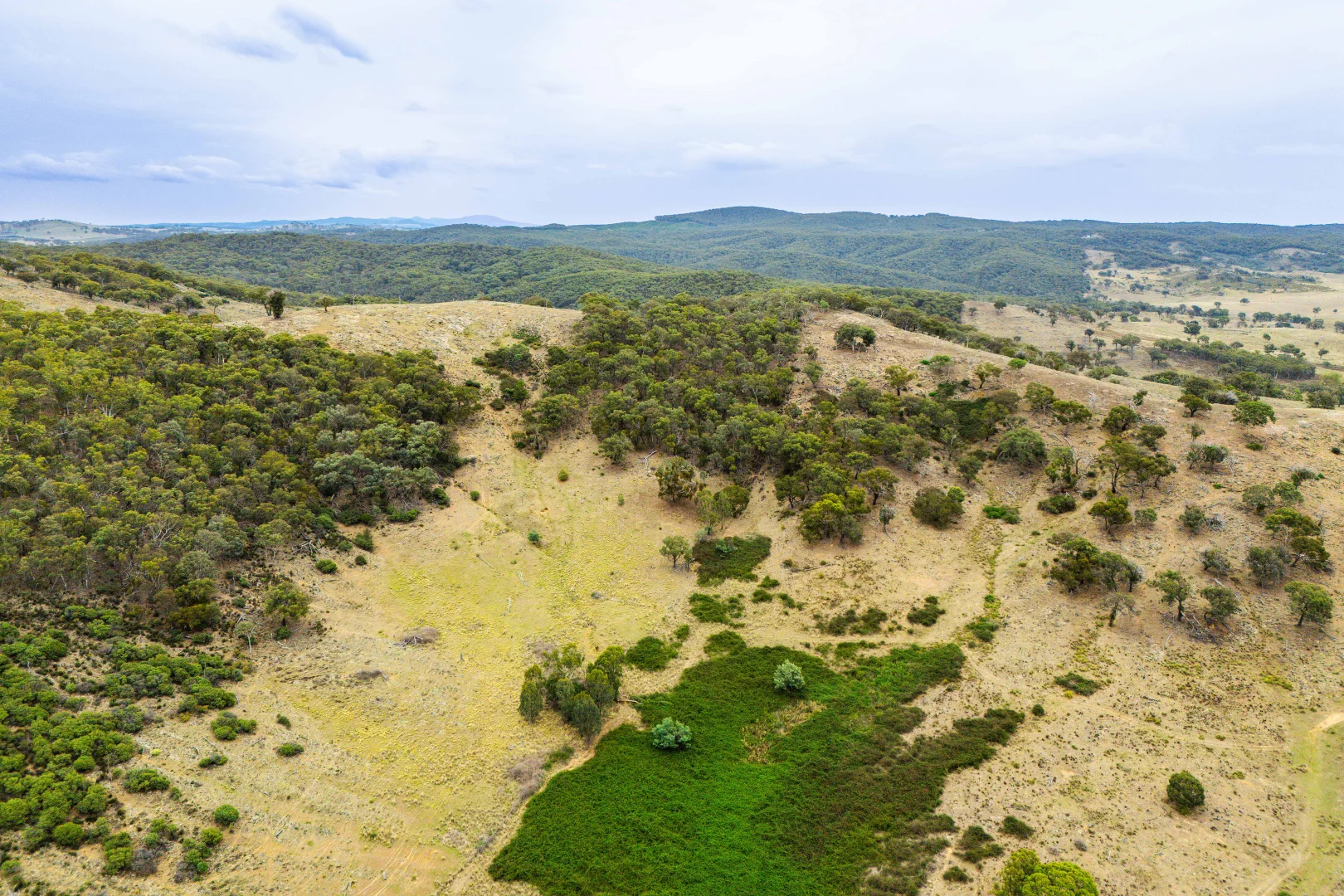 Additional image 32 of 678 Dry Creek Road, Lewis Ponds NSW 2800