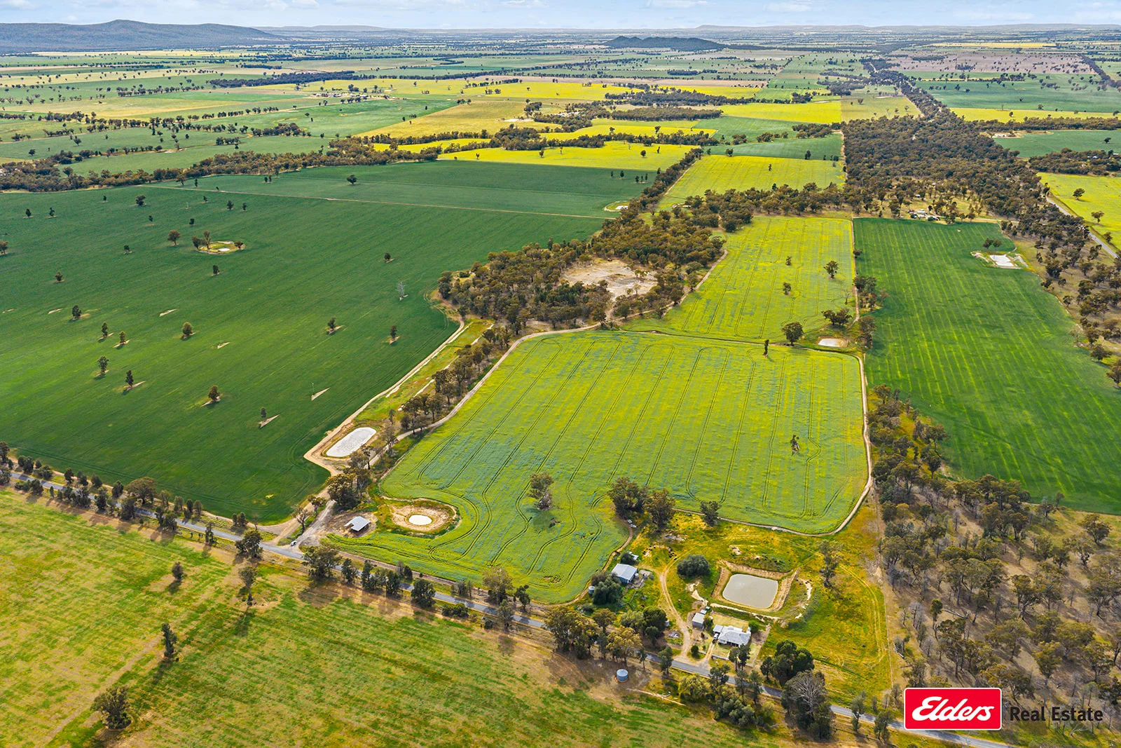 223 Morans Road, Bribbaree NSW 2594