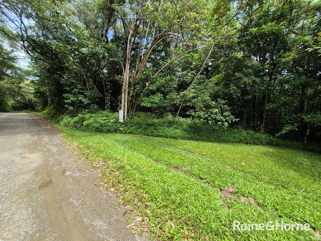 Additional image 3 of Lot 18 George Road, Forest Creek QLD 4873