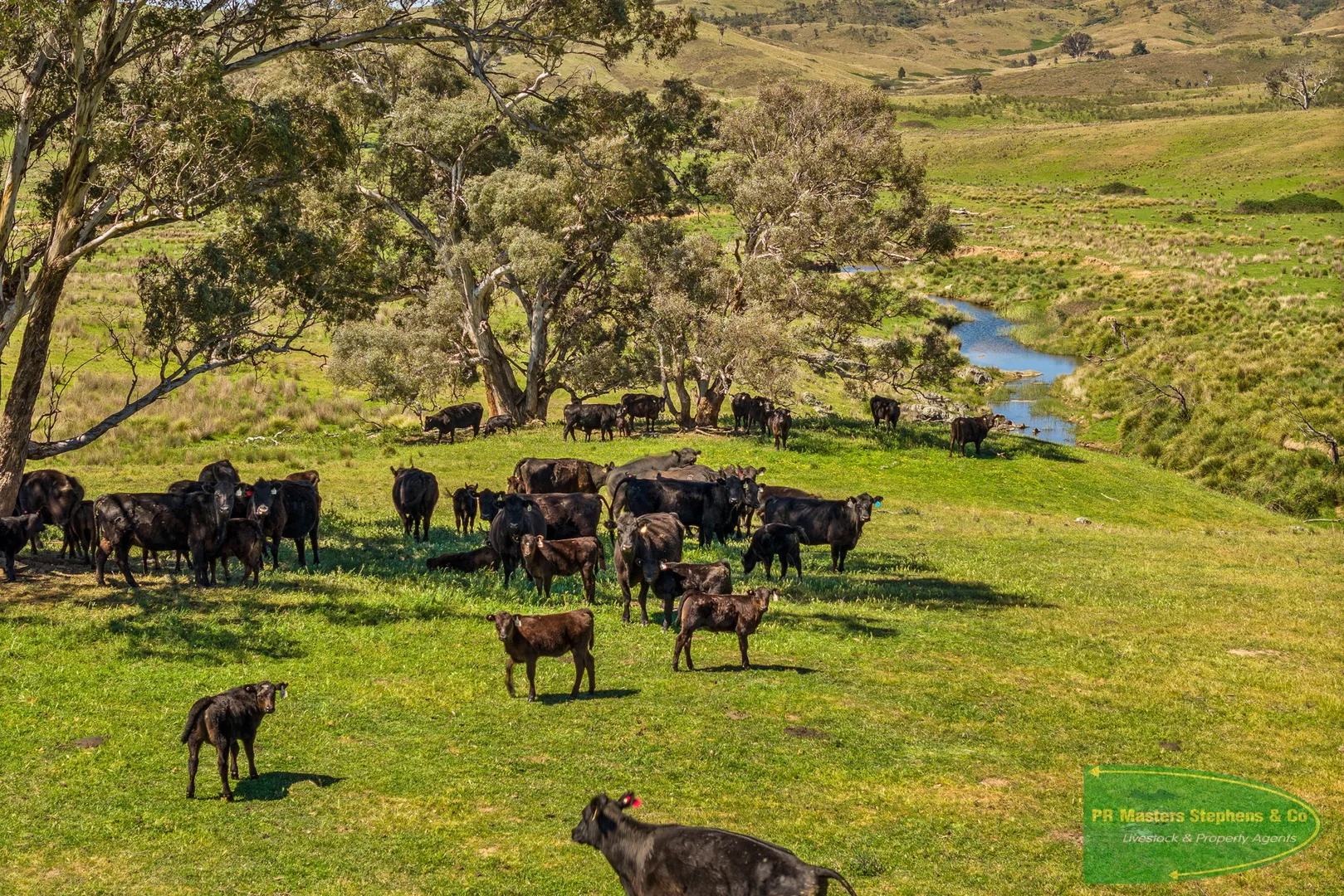 Additional image 22 of 351 Shepherds Creek Road, Euchareena NSW 2866