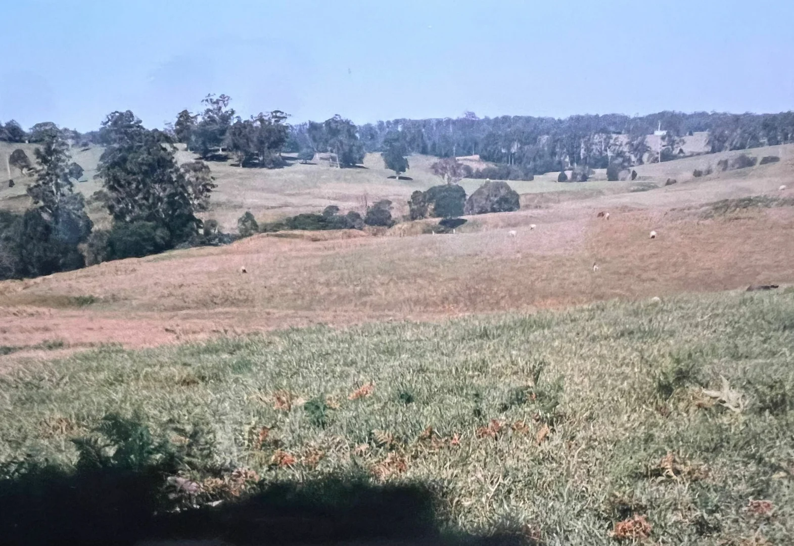 Additional image 21 of 45 Moores Lane, Eungai Creek NSW 2441
