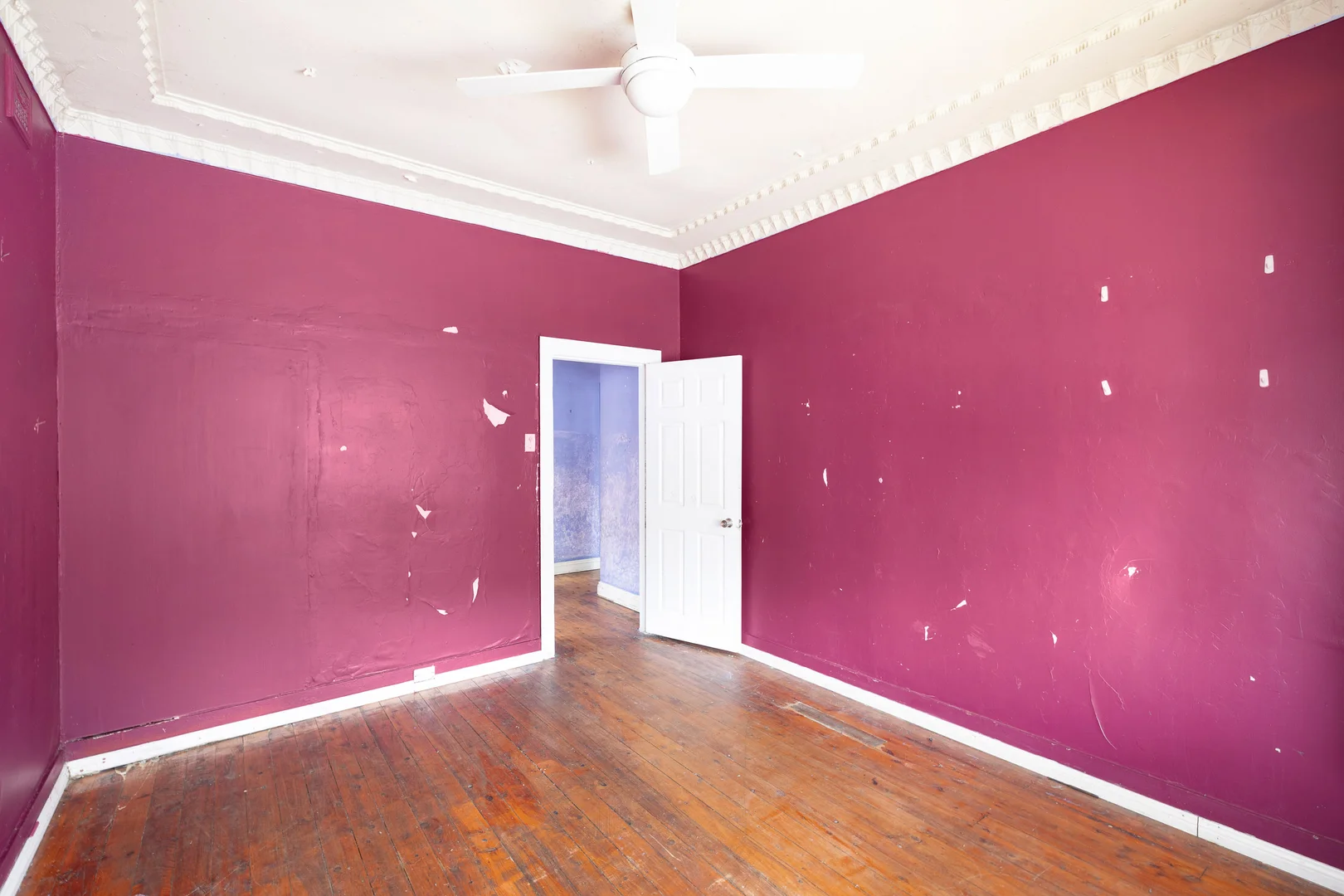 Additional image 8 of 66 Hart Street, Tempe NSW 2044
