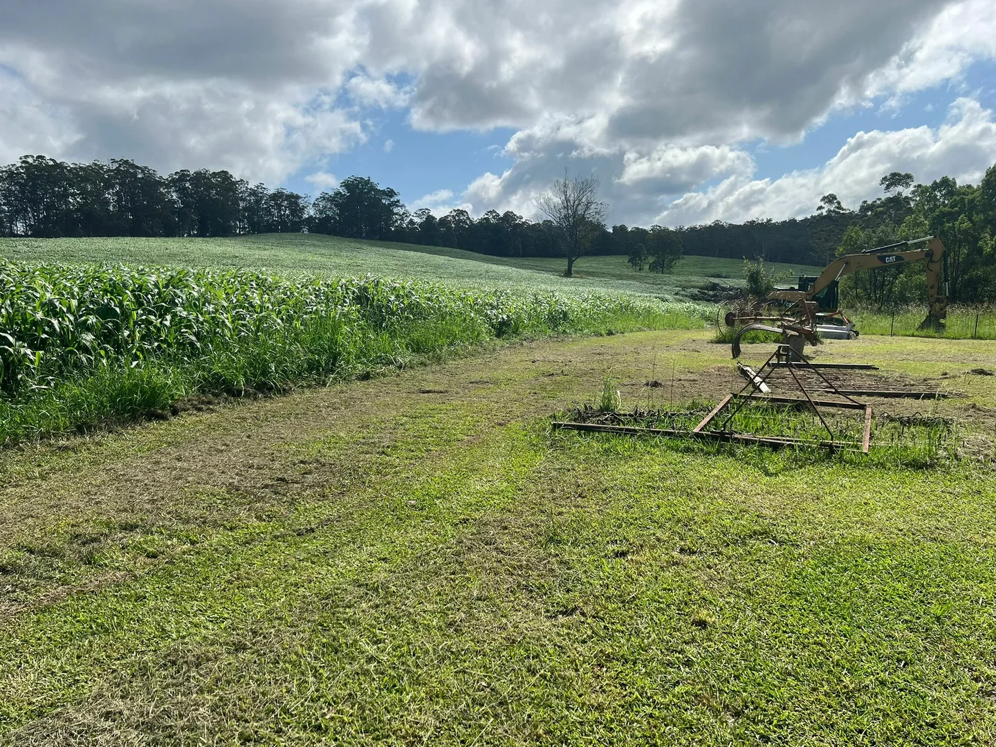 Additional image 3 of 45 Moores Lane, Eungai Creek NSW 2441