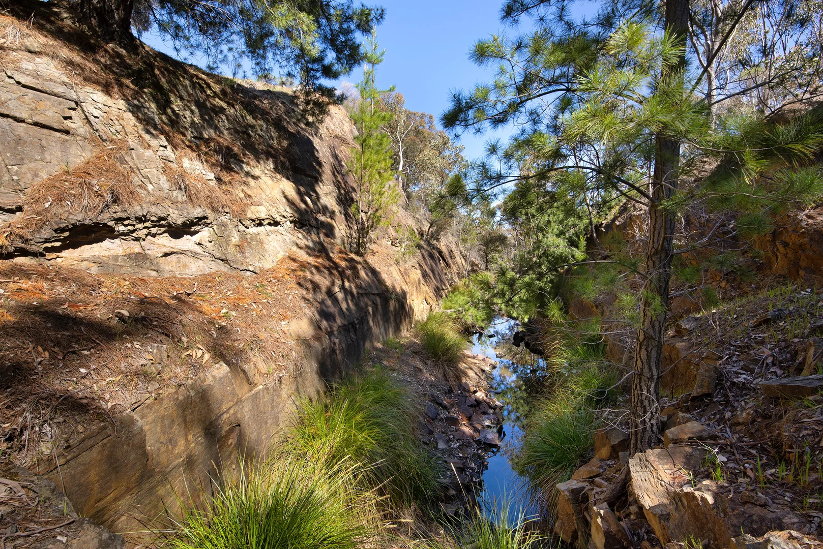 Additional image 3 of 1/128 Kennedys Lane, Faraday VIC 3451