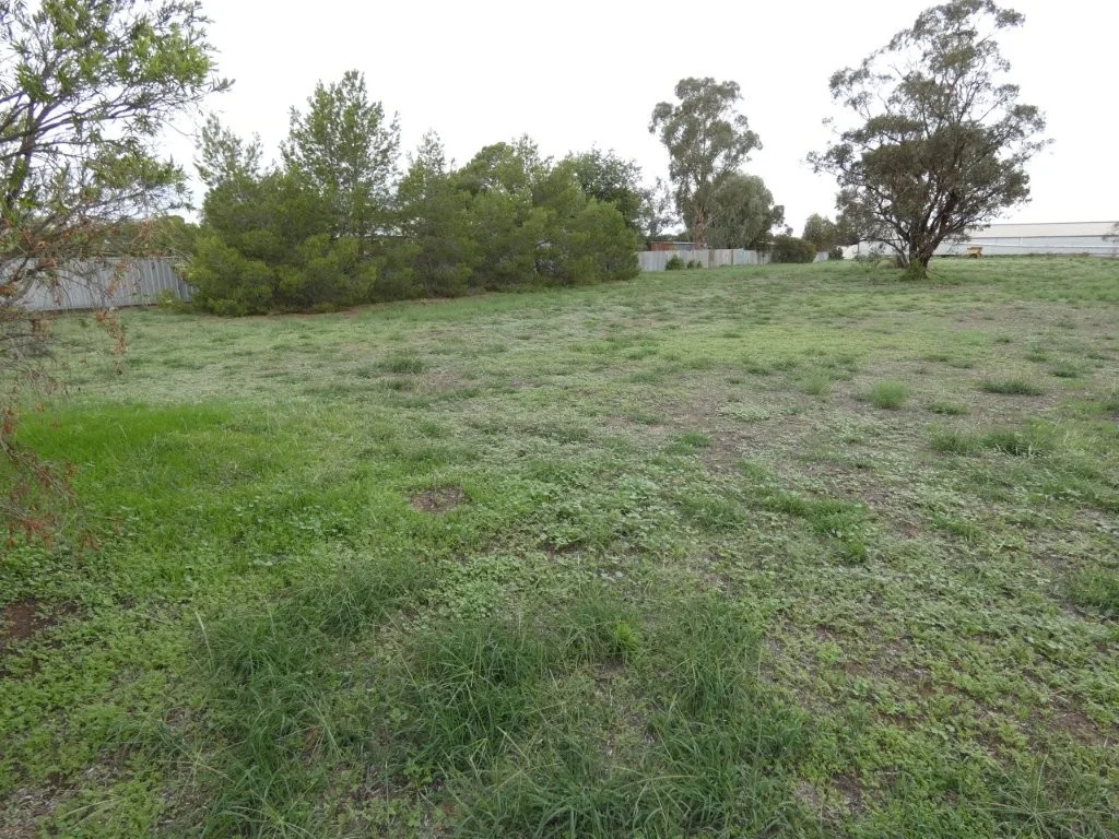Additional image 2 of Brook St, Woomelang VIC 3485