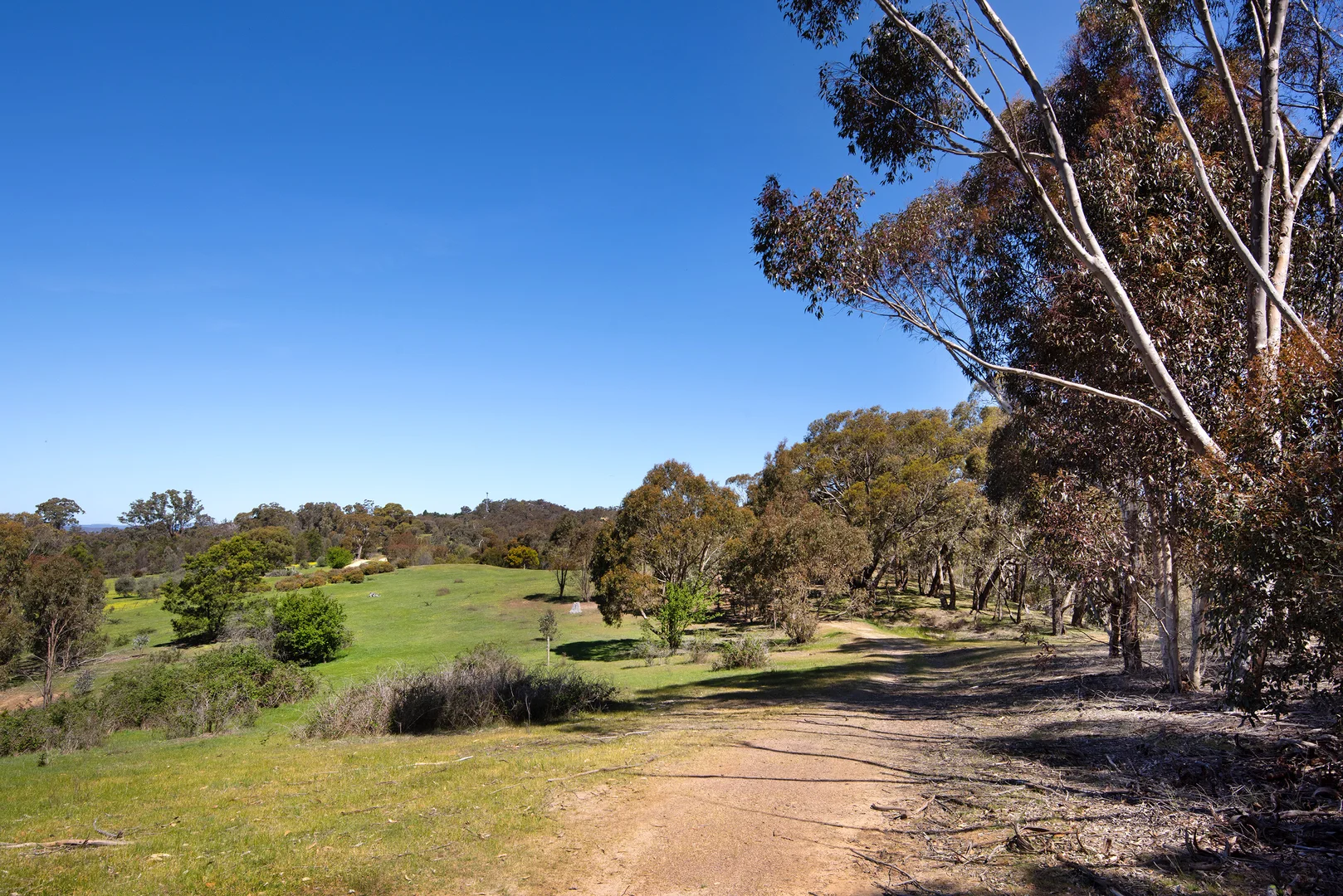 Additional image 2 of 1/128 Kennedys Lane, Faraday VIC 3451