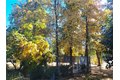 Additional image 64 of 48208 Tanglewood Ct, Aguanga, CA, 92536