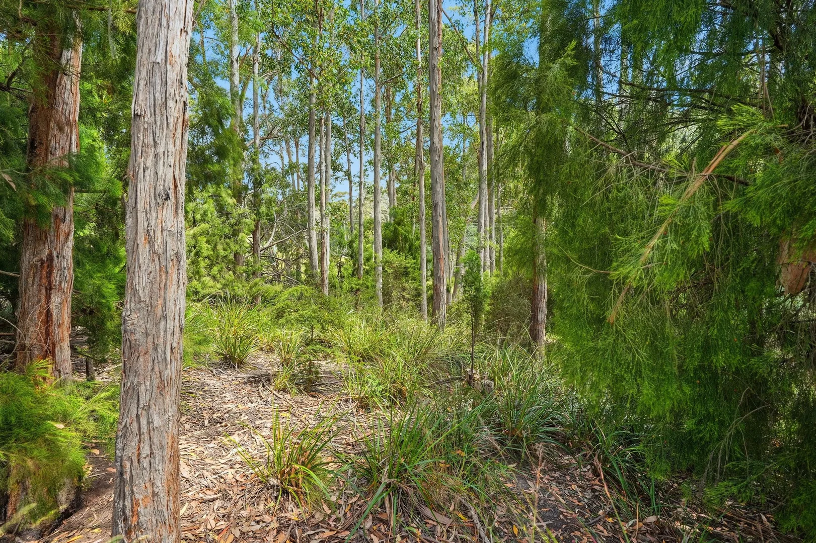 Additional image 7 of Lots 9 & 10 Esperance Coast Road, Dover TAS 7117