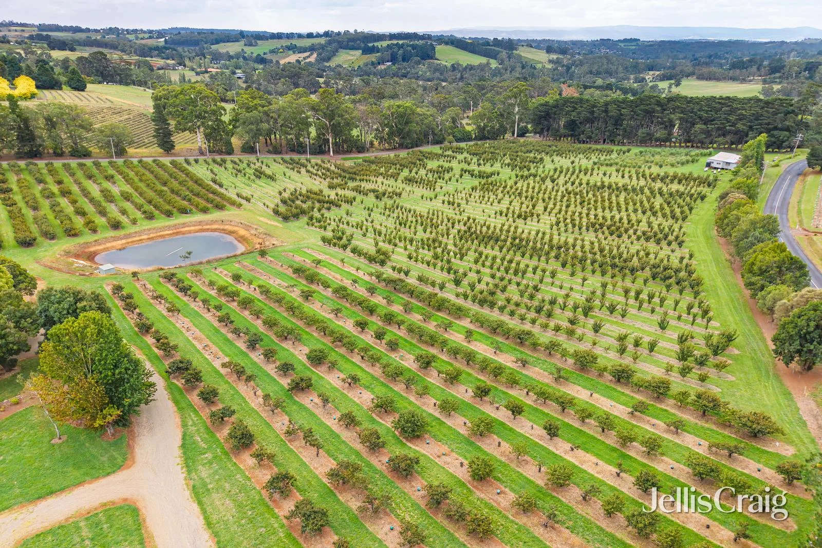 Additional image 5 of 56 Monbulk-Seville Road, Seville VIC 3139