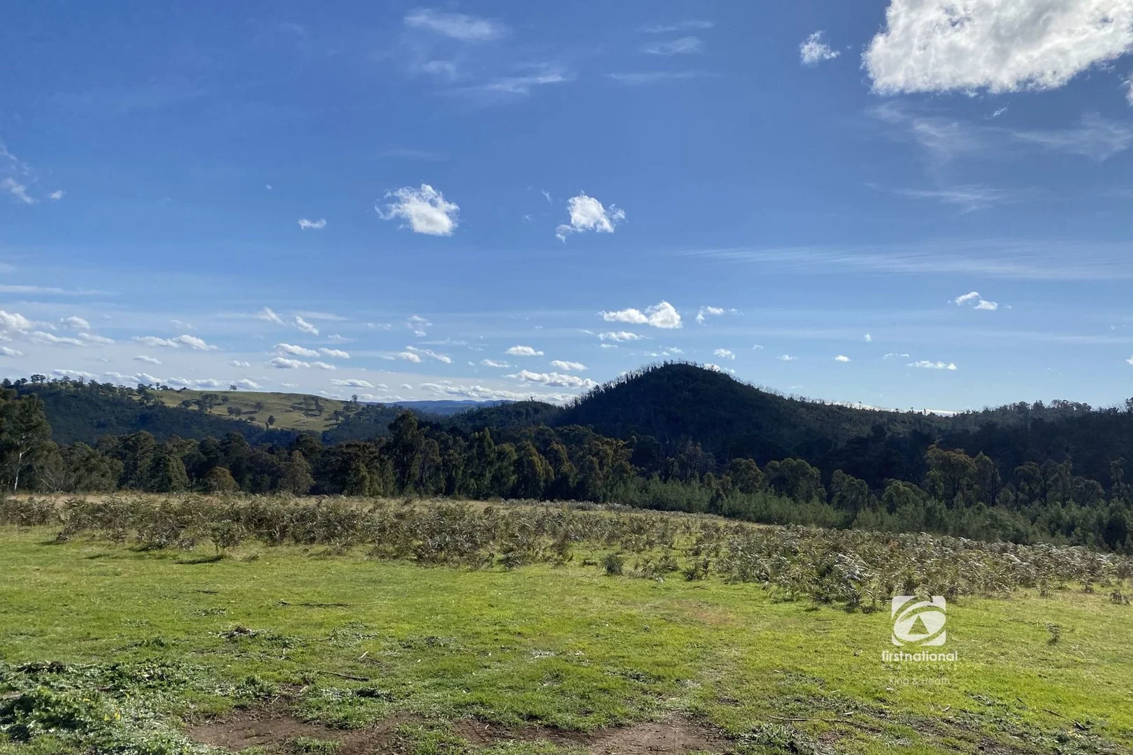 Additional image 3 of Lot 1/303 Basin Road, Buchan VIC 3885