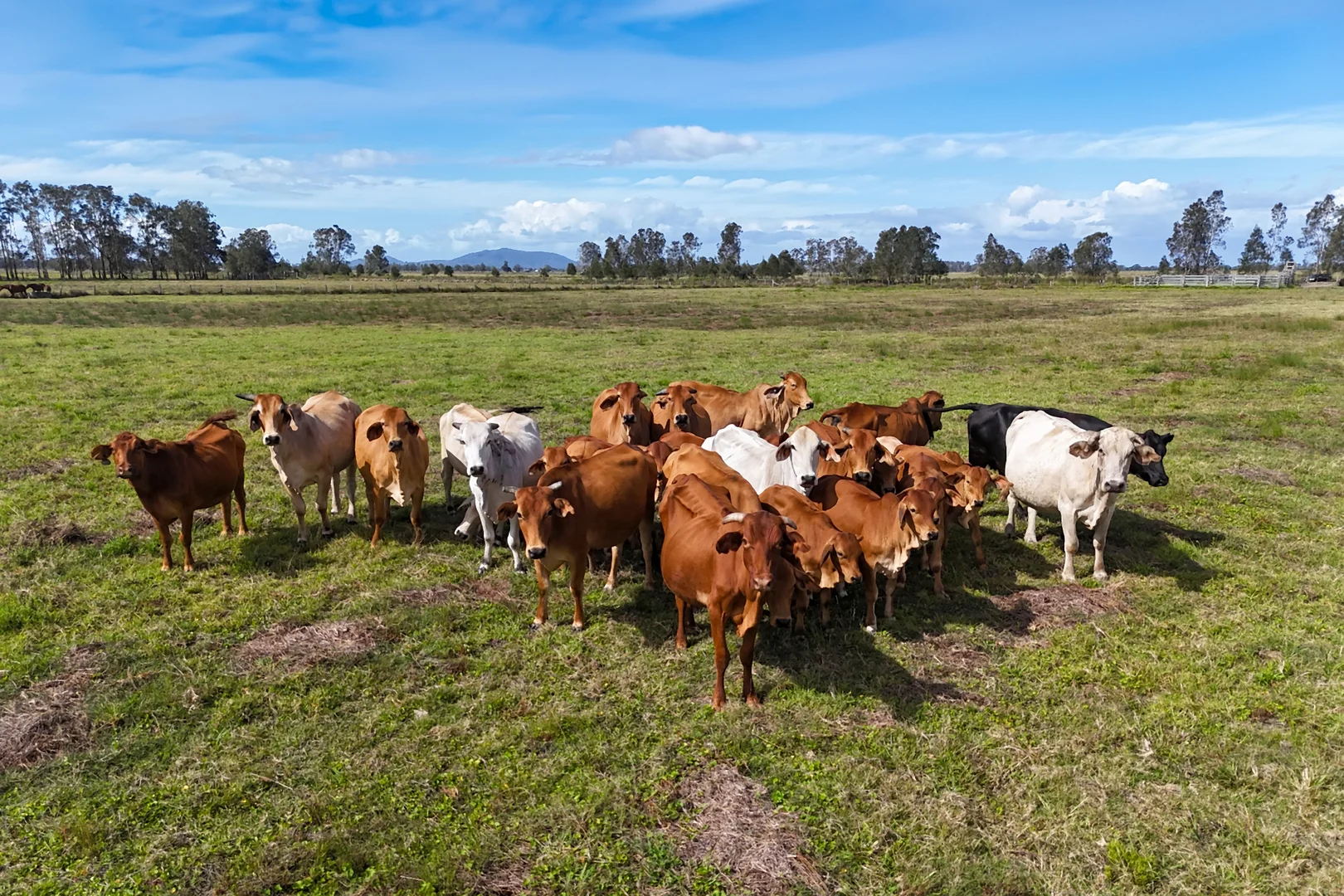 Additional image 10 of Two Hills Lane, Clybucca NSW 2440