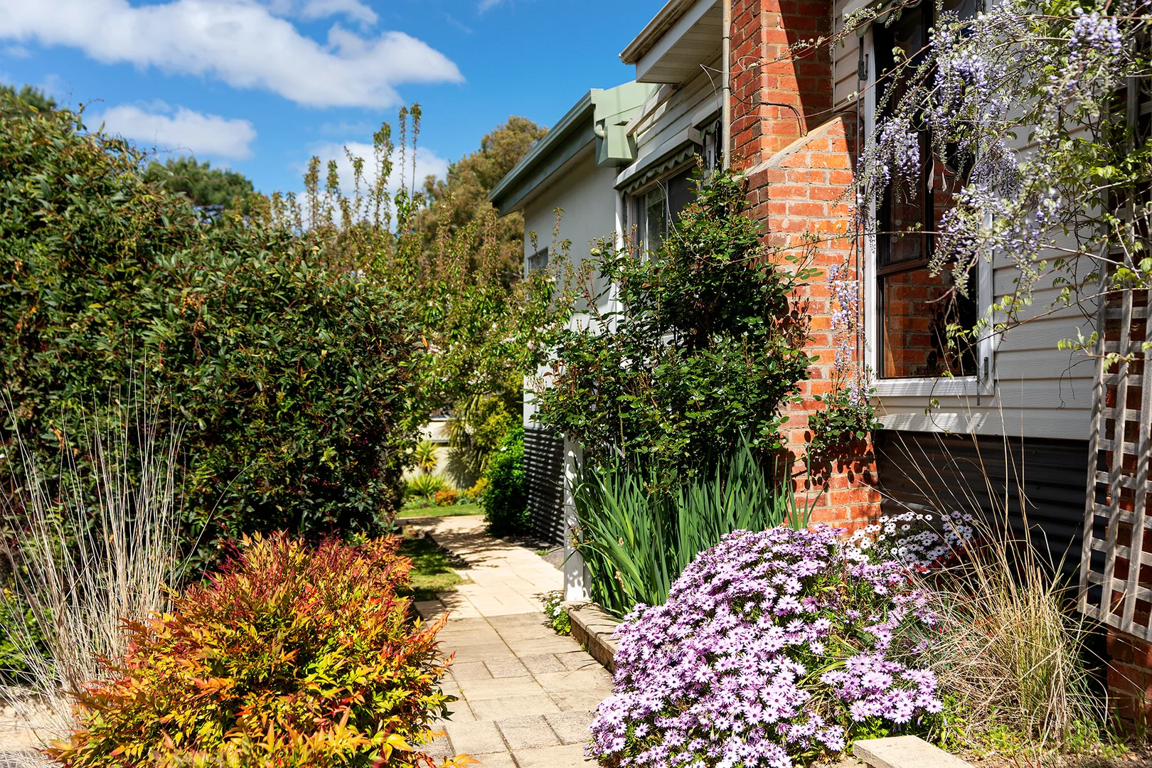 Additional image 14 of 50 Eureka Street, Chewton VIC 3451