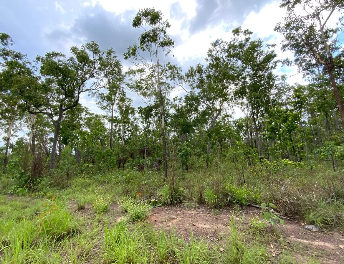 Additional image 4 of 155 Produce Road, Humpty Doo NT 0836