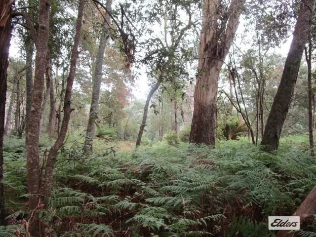 Additional image 12 of Lot 3 Jordans Road, North Motton TAS 7315