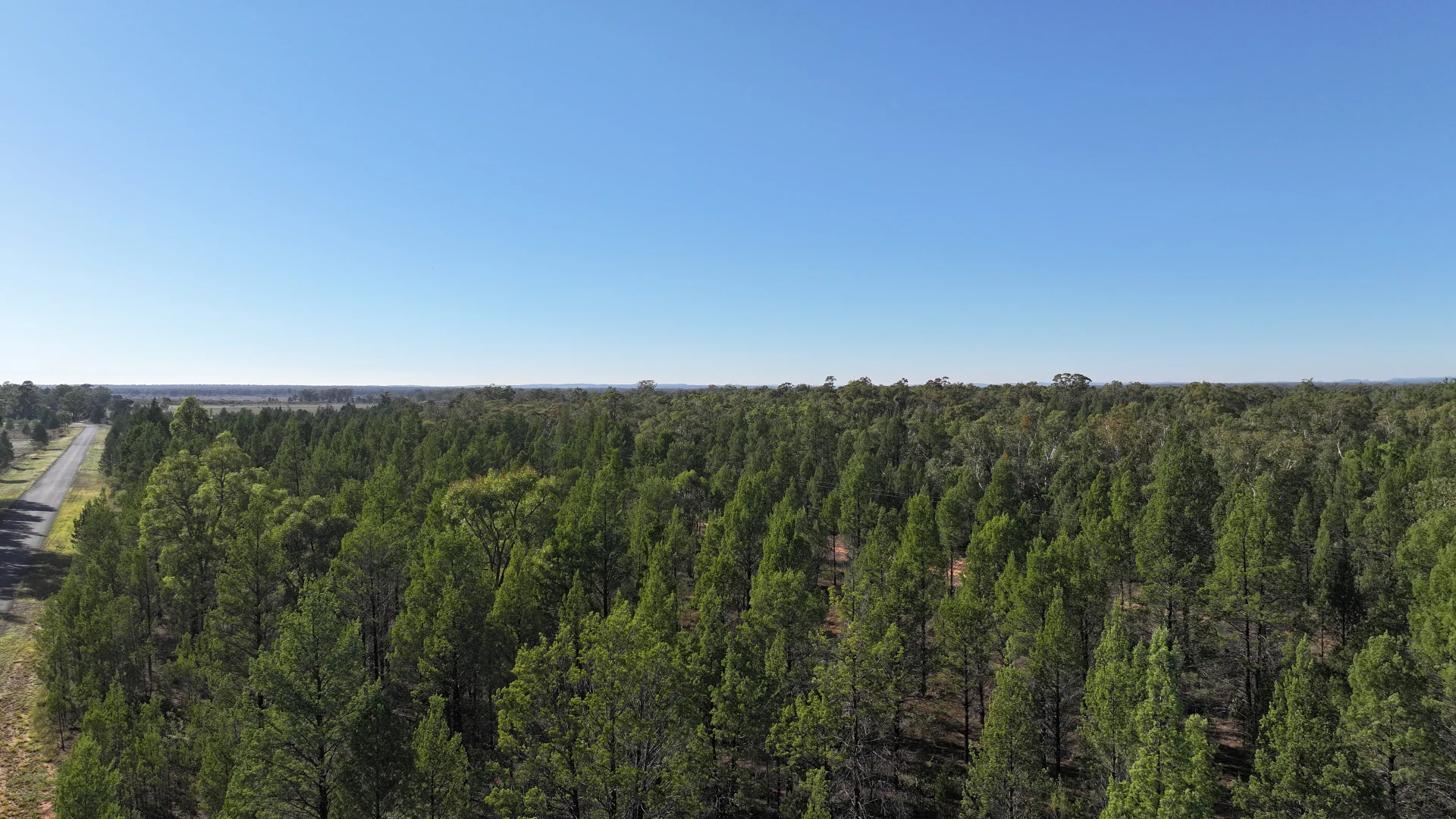 Additional image 5 of 114 Indian Lane, Baradine NSW 2396