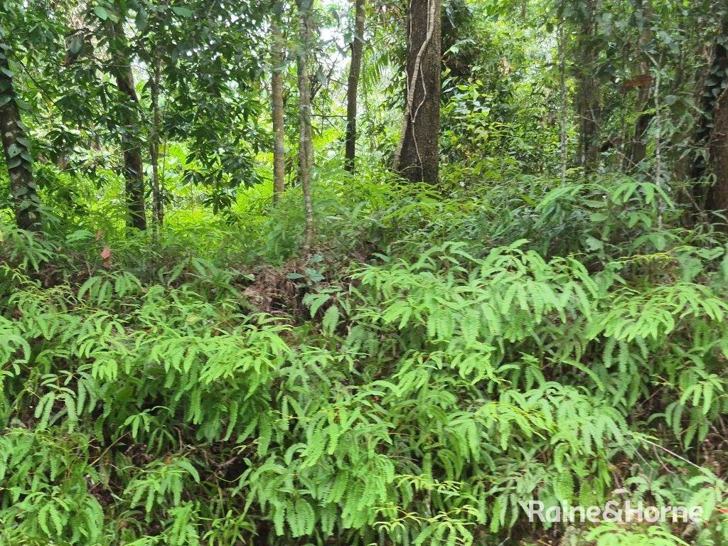 Additional image 10 of Lot 18 George Road, Forest Creek QLD 4873