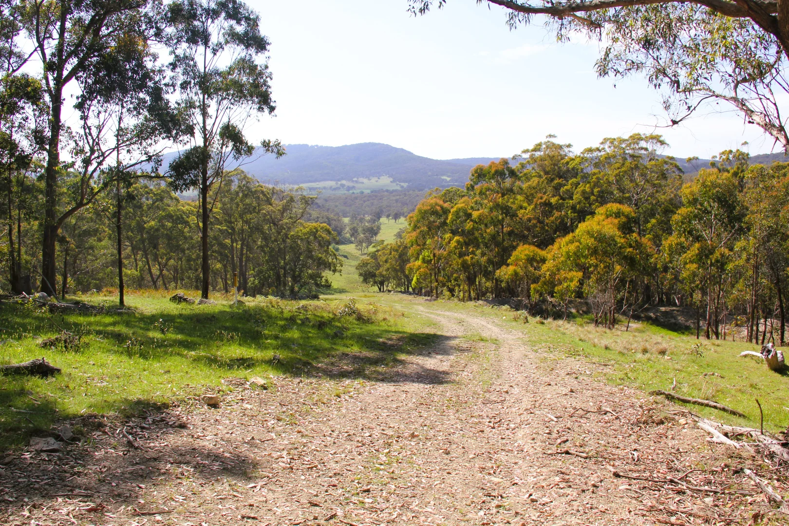 Additional image 12 of 1929 New England Highway, Dundee NSW 2370